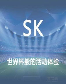 大型公關(guān)活動策劃 從藍圖到輝煌